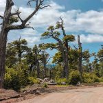 Parque Nacional Huerquehue